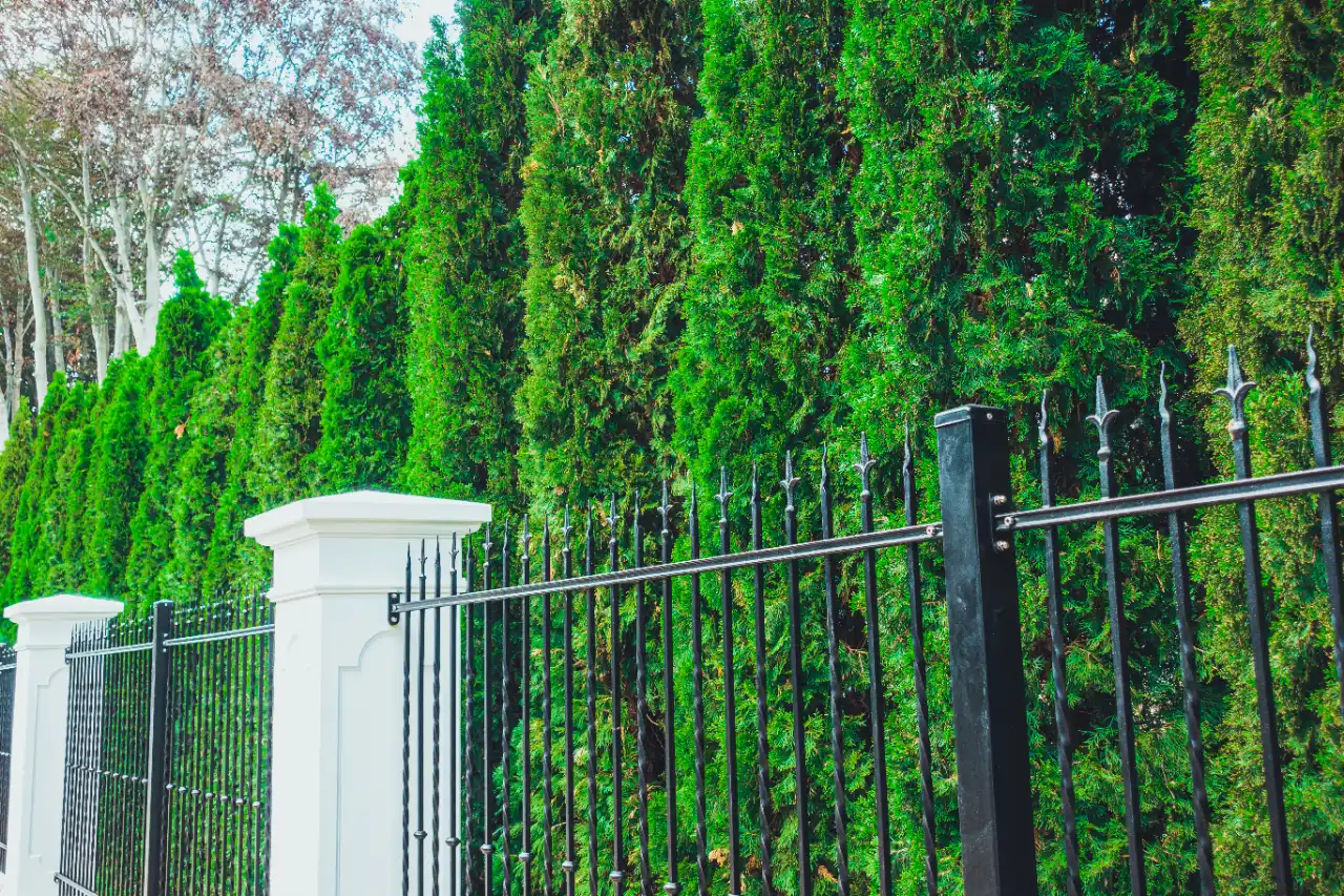 Fence in a suburban New Jersey neighborhood
