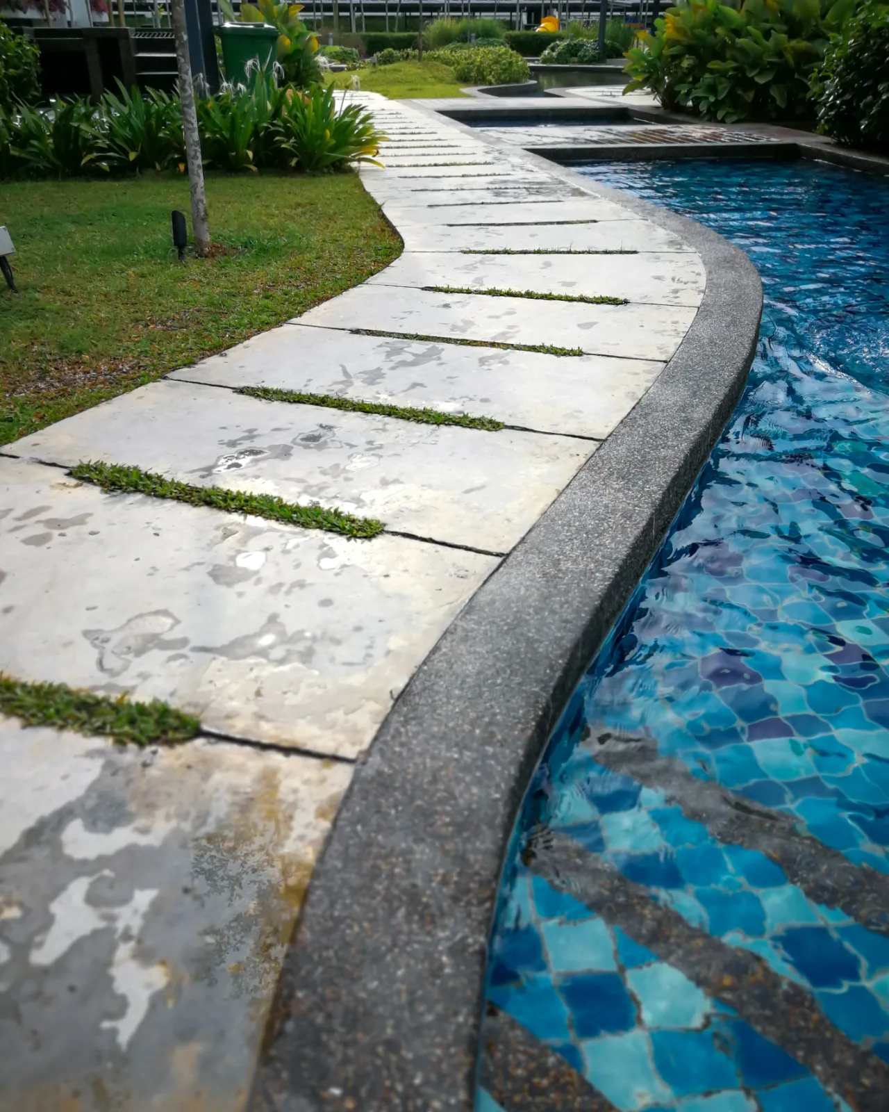Modern pool and landscape design in New Jersey